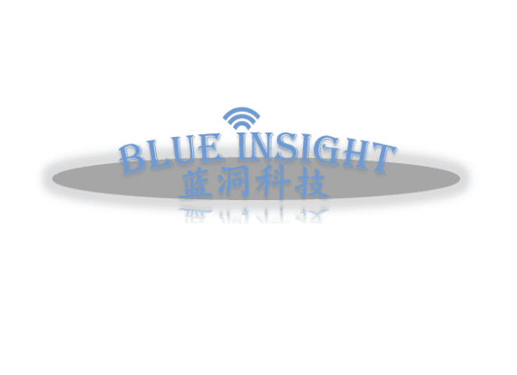 Blue Insight Consultation logo